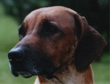 emmi